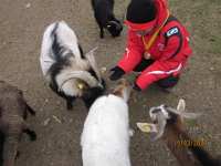 2014.03.15 - Possenlauf in Sondershausen-35